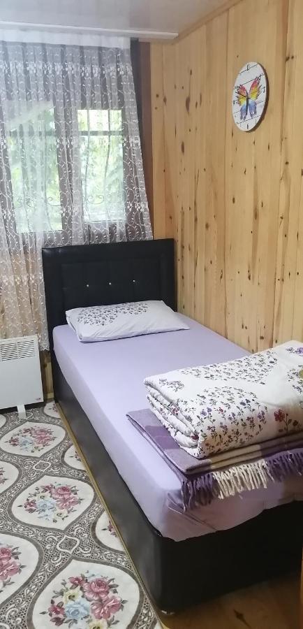 Villa Zafran آيدر يايلاسِه المظهر الخارجي الصورة